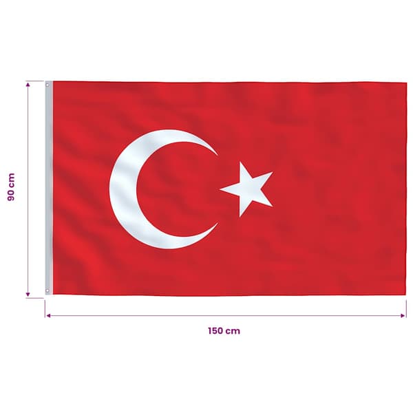 vidaXL Turkin lippu, 90x150 cm