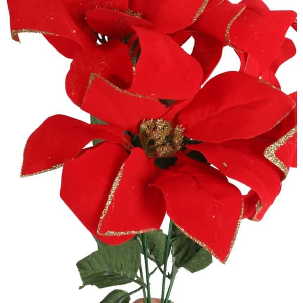 Buket med 5 fløjlsjulestjerner 56 cm, rød