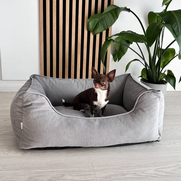 COMFY ortopedisk säng - storlek S Mocca