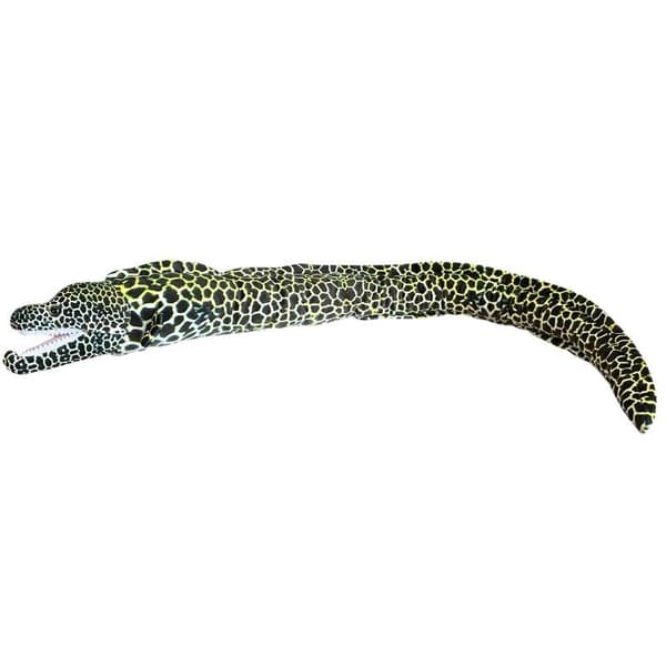Hämärä mureena 110 cm