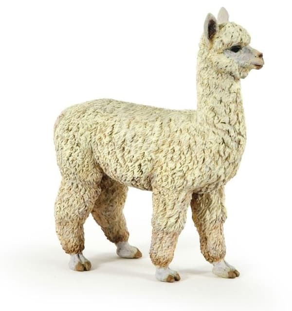 Alpaca