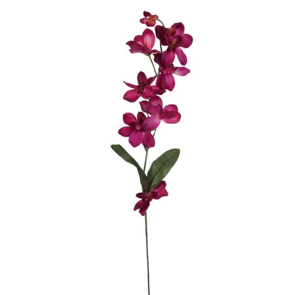 Orkidean oksa viininpunainen 66 cm