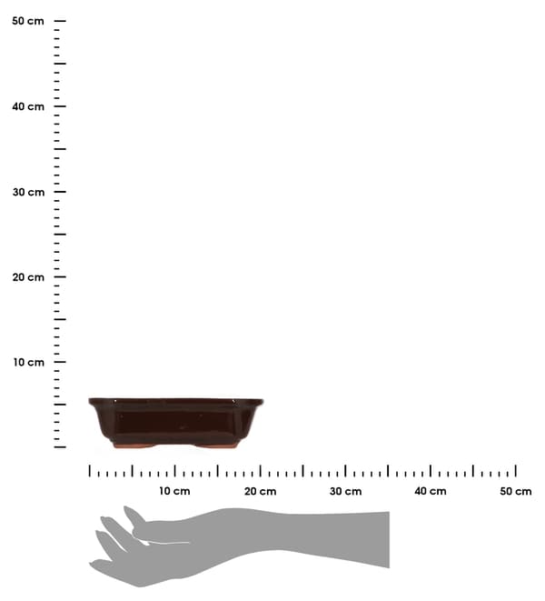 Terrakottapotte til bonsai 21xh6cm