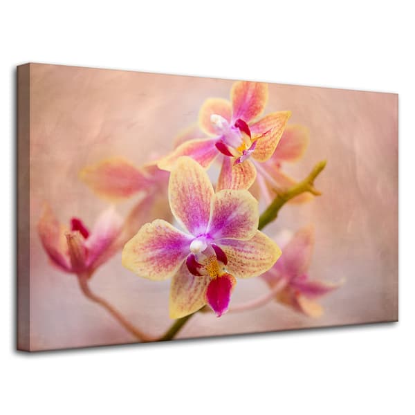Lærredstryk Botanik Blomst Orkidé 80x50 cm