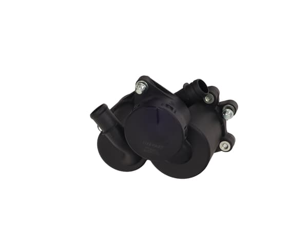 FT04382 SNABB EMPH