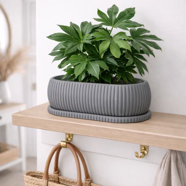 Grå rillet blomsterpotte, moderne minimalistisk loft japandi