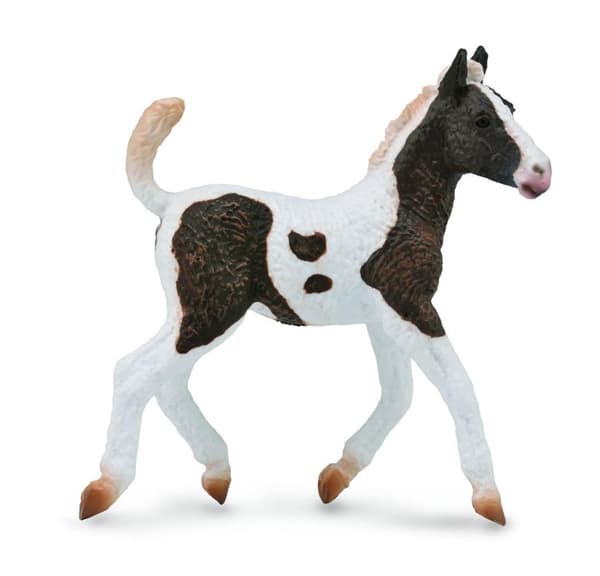 Collecta. Baškiirilainen kiharavarsa