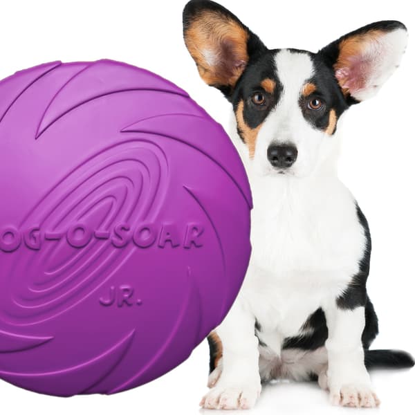 Pet Nova legetøj - gummifrisbee-skive lilla 22 cm