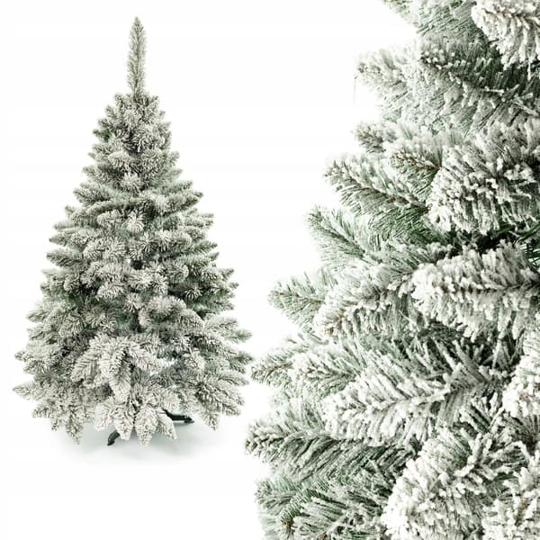 Ch. Tallsnö 120cm