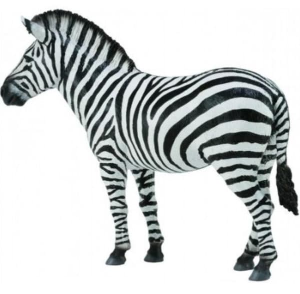 Collecta. Almindelig zebra