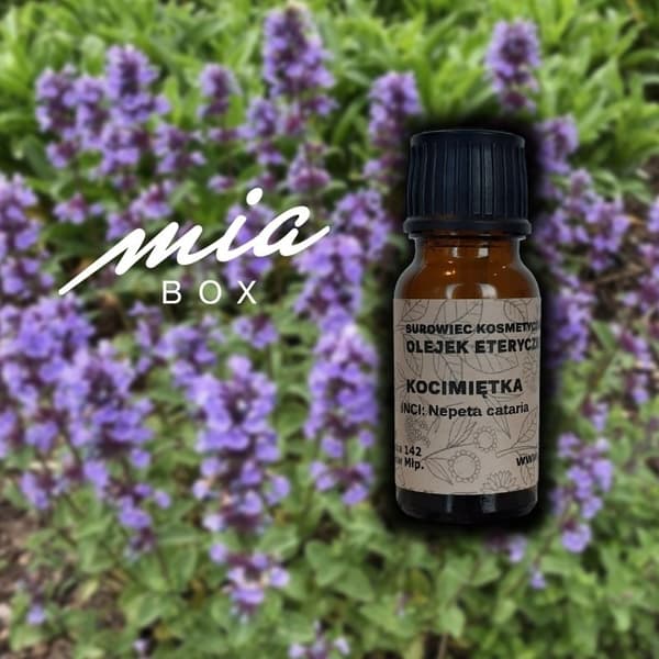 Eterisk olja för kattmynta