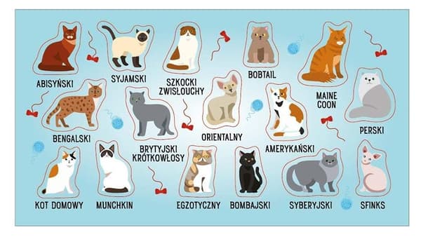 Kissarodut Tarrat