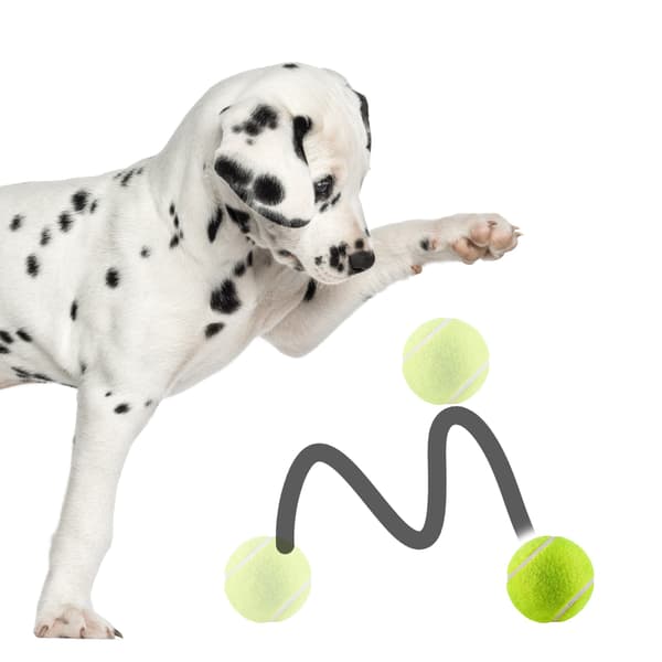 Pet Nova -lelu - kelluvat tennispallot 3 kpl.