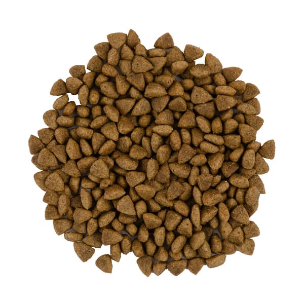 Savory Premium torrfoder för katter, vuxen, lamm och kalkon, sensitiv, 400 g