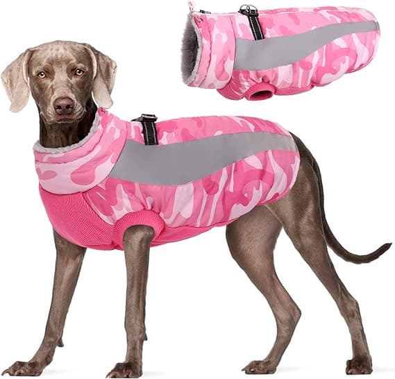 Hundjacka Vattentät Isolerad 3XL