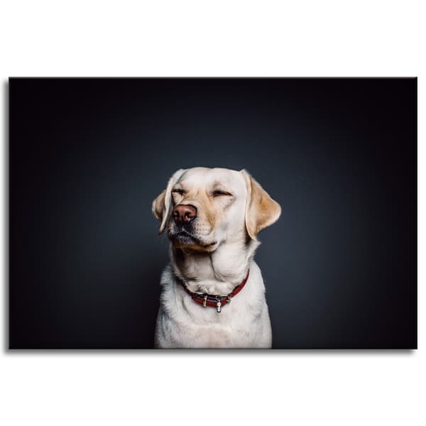 Lærredstryk Dyr Hund Sort baggrund 90X60