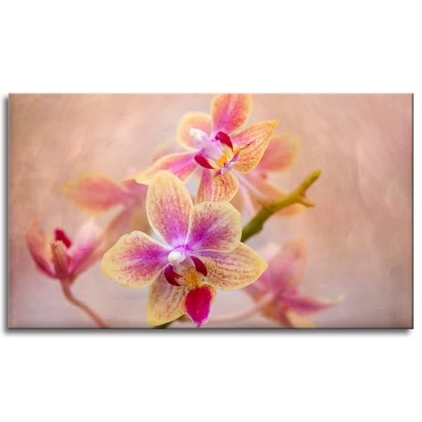 Canvastavla Botanik Blomma Orkidé 120x70 cm