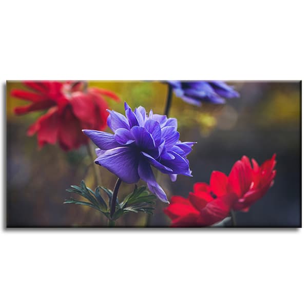 Canvastavla Botanik Blommor 80x40 cm