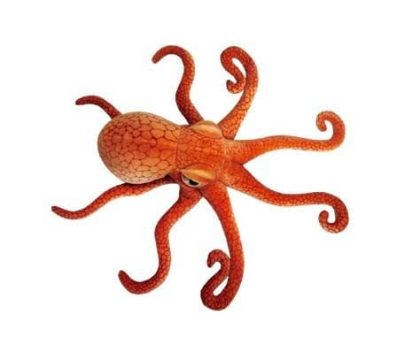 Blæksprutte 47 cm