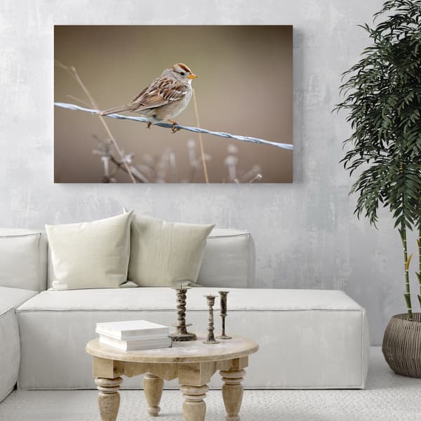 Lærredstryk Dyr Spurv 100x60 cm