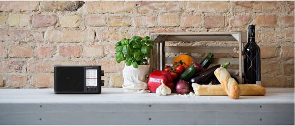 Sony ICF-506 radio (ICF506.CED)