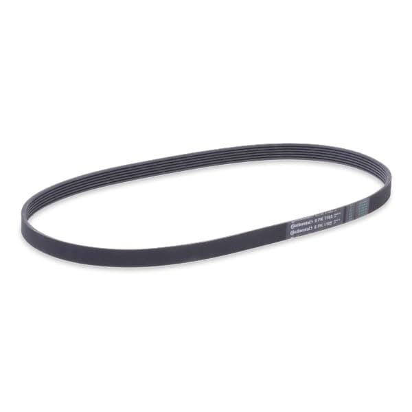 CONTITECH 6 PK 1195 multiribbet rem