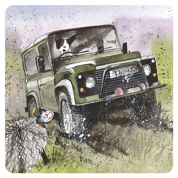 C161 Offroad Kopmåtte