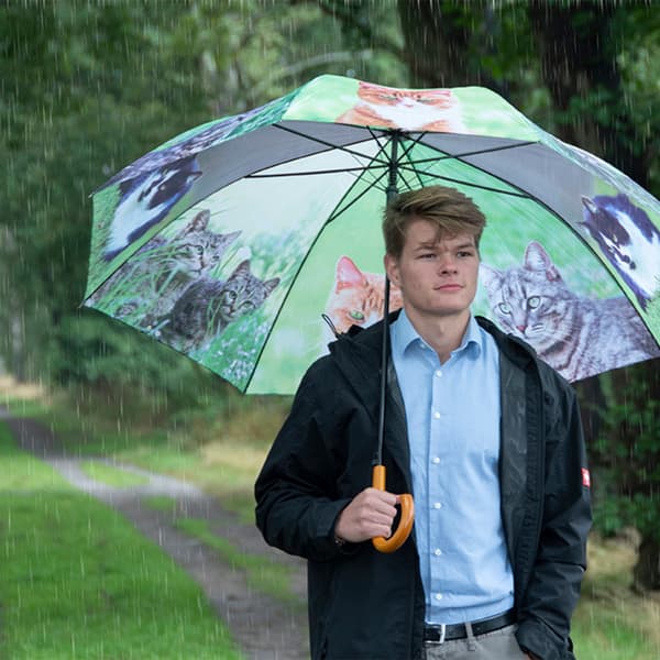 Paraply med kattemotiv