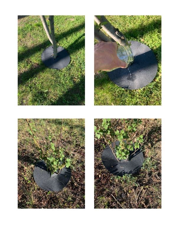 Filtskive til beskyttelse mod ukrudt, bioklip, grafit, diameter 40 cm