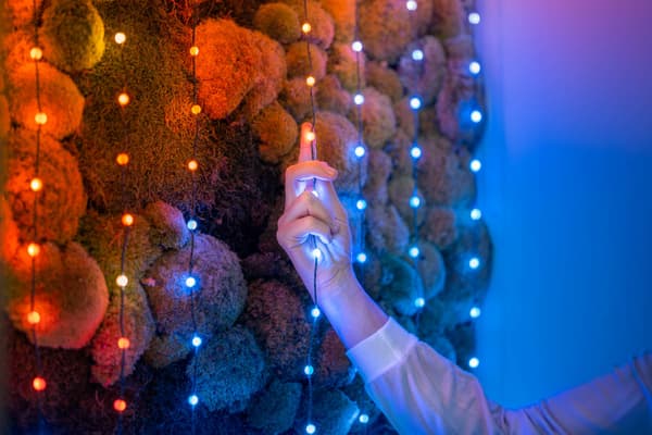 Twinkly Strings USB-C Godisar - 100 RGB LEDs, Pärlor, 6m, Grön Fläta