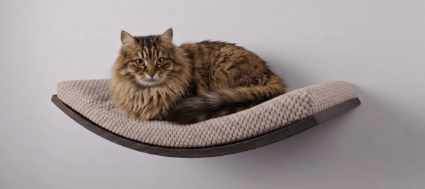 Trähylla för katter Arc 60cm Beige