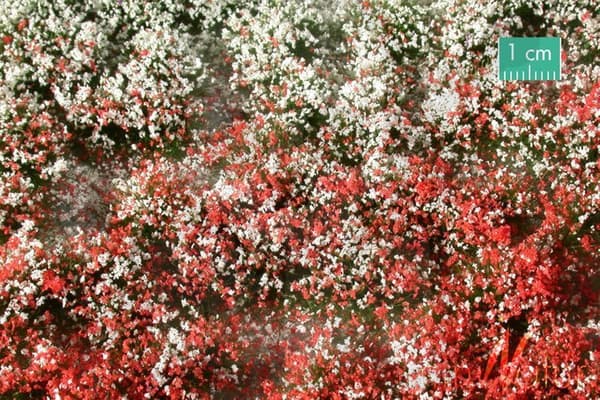 SIL726-32S Tuft Sommerblomstrende Vegetation 2 15