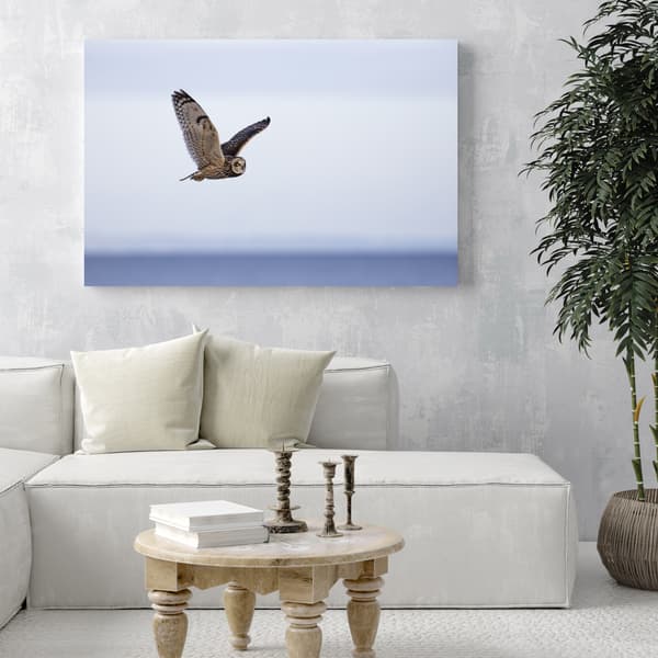 Canvastaulu Eläimet Pöllö lennossa 100x80 cm