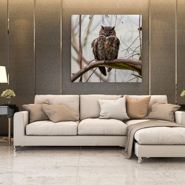 Lærredstryk Dyr Sovende Ugle 90x90 cm