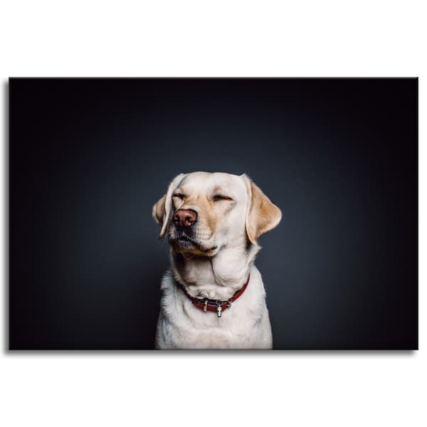 Lærredstryk Dyr Hund Sort baggrund 120X80