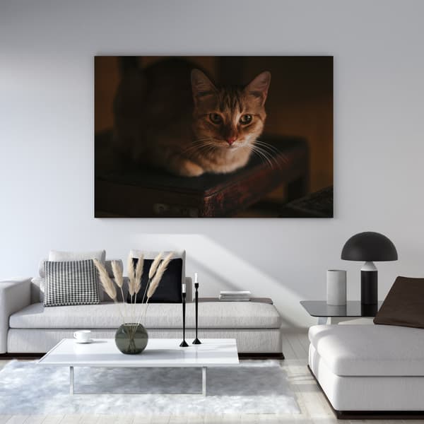 Lærredstryk Dyr Huskatte 60x40 cm