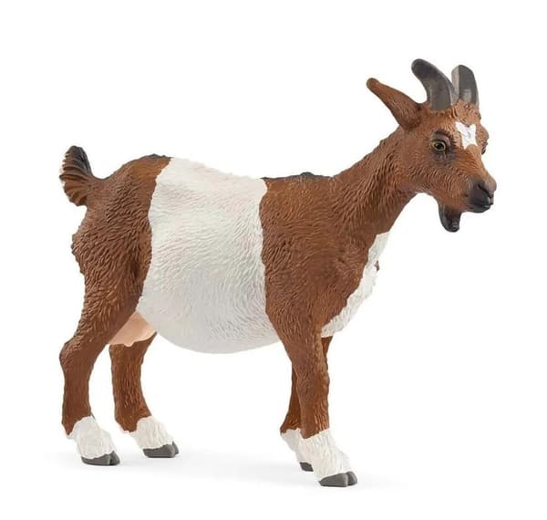 Vuohi