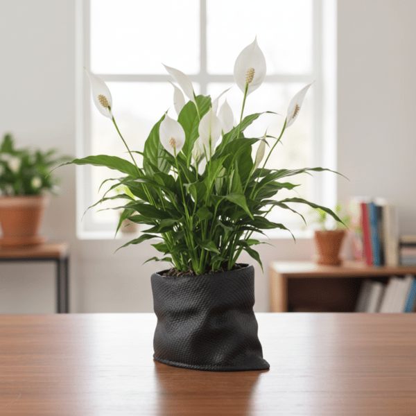 Moderne sort plantepotte i juteposestil