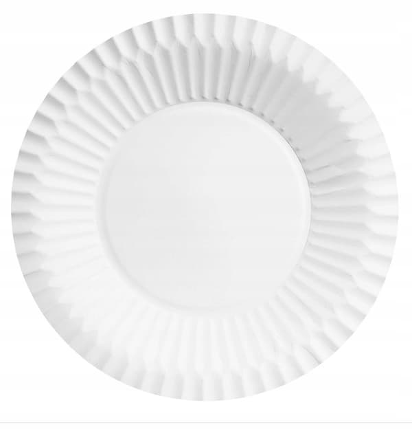 Papir middagstallerken/grill engangs hvid 24 cm 100 stk