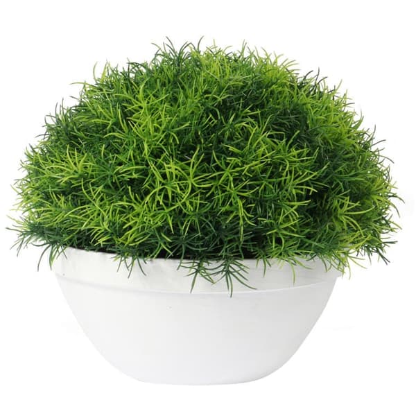 Klumpgräs i vit kruka 25 cm
