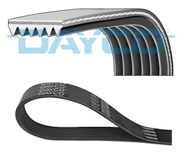 DY 6PK1855 DAYCO MIKRO-V-REM