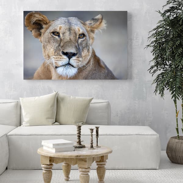 Lærredstryk Dyr Løvinde 100x60 cm