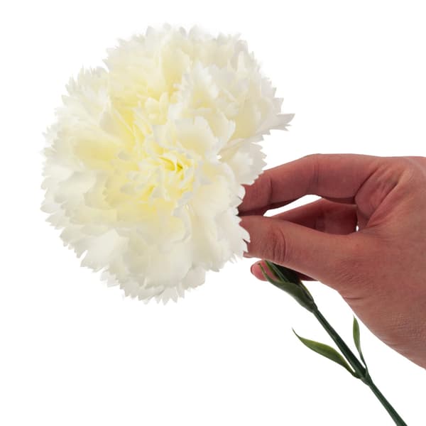 CV22527-1 NÄLIKA ENBLOMMIG VIT VACKER
