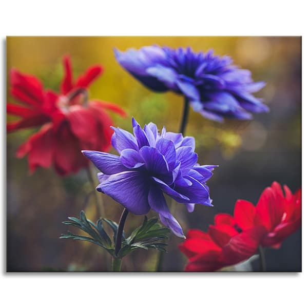 Lærredstryk Botanik Vilde Blomster 100x80 cm