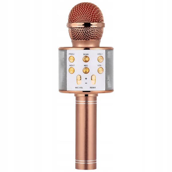 Trådlös mikrofon FÖR barnkaraoke MED Bluetooth-högtalare USB MIX