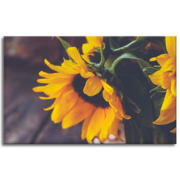 Canvastaulu Botany Auringonkukat 80x50 cm
