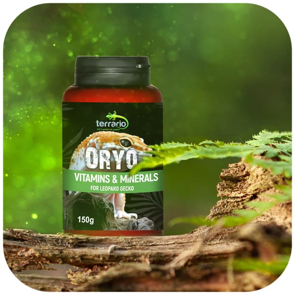 Terrario ORYO til leopardgekko 150g - vitaminer til leopardgekkoer
