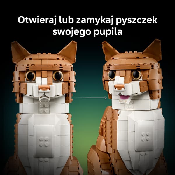 LEGO Ideas Ingefära Katten 1755 Delar Set (21376)