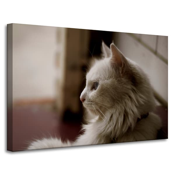 Lærredstryk Dyr Hvid kat 90x60 cm
