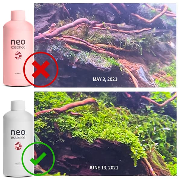 Neo Essence 1000ml - kasvien kasvu ja väri